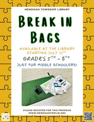 Break In Bags